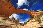 Owachomo Bridge - Southern Utah ___0308*